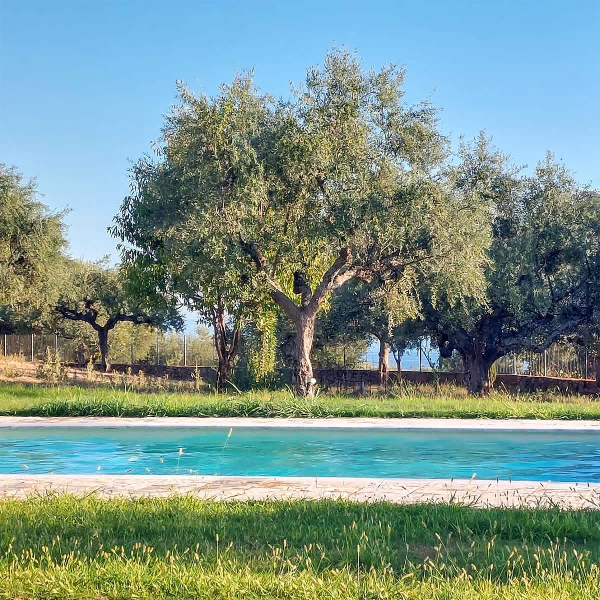 Villa Eleni - Private Pool Bliss Near Kardamili Proástion Zewnętrze zdjęcie